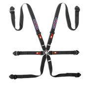 Sparco Competition H-2 Pull-Down Steel Martini 6-Point Harness