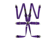 LTEC Magnum HANS Superlite 6-Point Harness