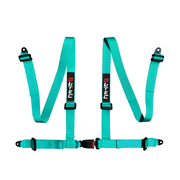LTEC Bolt-In 4-Point Harness