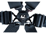 LTEC Endurance 6-Point FHR Harness – detail